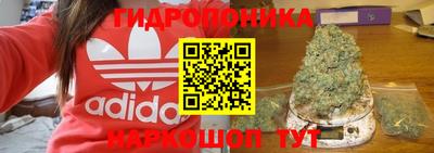 spice Будённовск