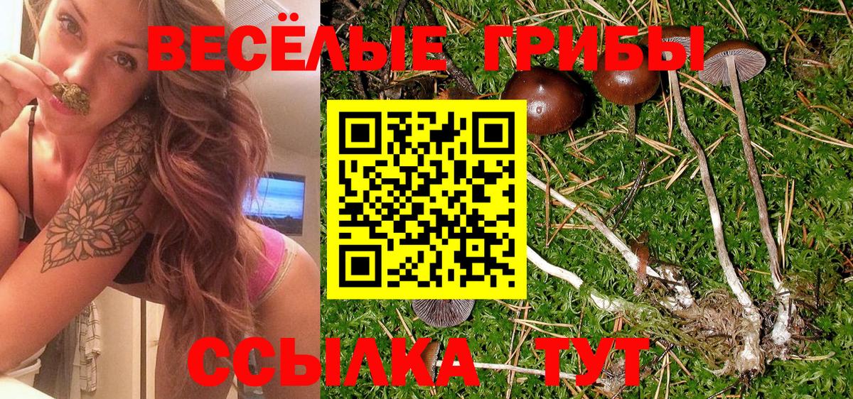 Псилоцибиновые грибы Cubensis  Галлюциногенные грибы Psilocybe  Обнинск  Вход с VPN 