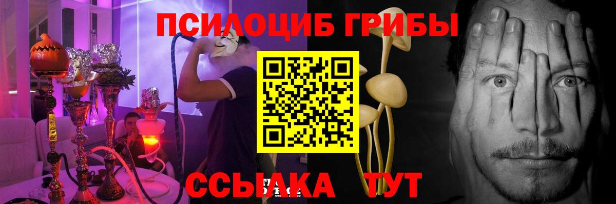 Галлюциногенные грибы прущие грибы  Обнинск 