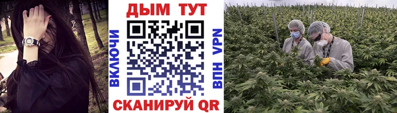 Бошки Шишки THC 21% Обнинск