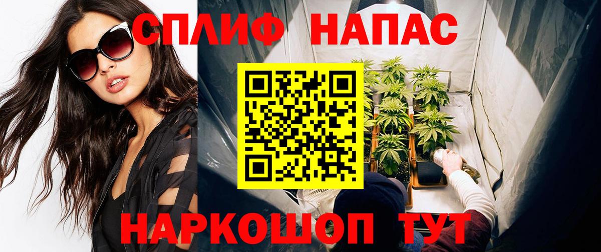 Каннабис сатива  Марихуана конопля  Канабис Ganja  Обнинск 
